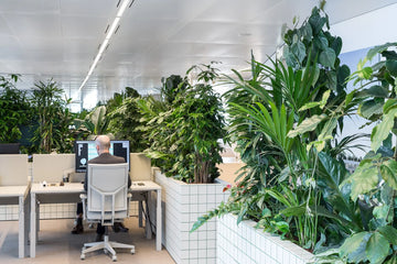 Grey-Office-Furniture-7-Benefits-to-Boost-Workplace-Productivity Boring Collection